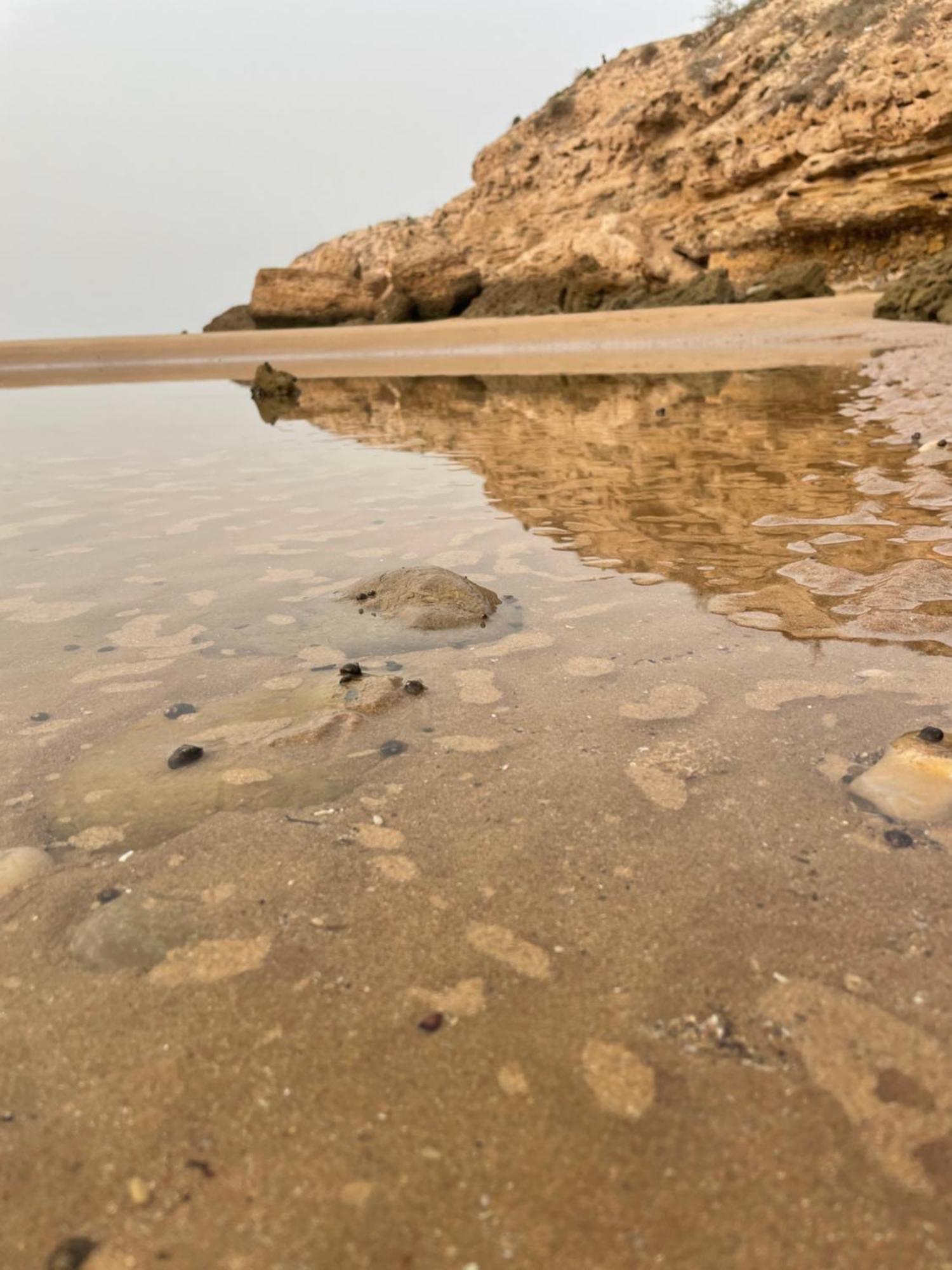 2 Appartements A Tamraght Taghazout Bay Surf Spot Aourir Kültér fotó